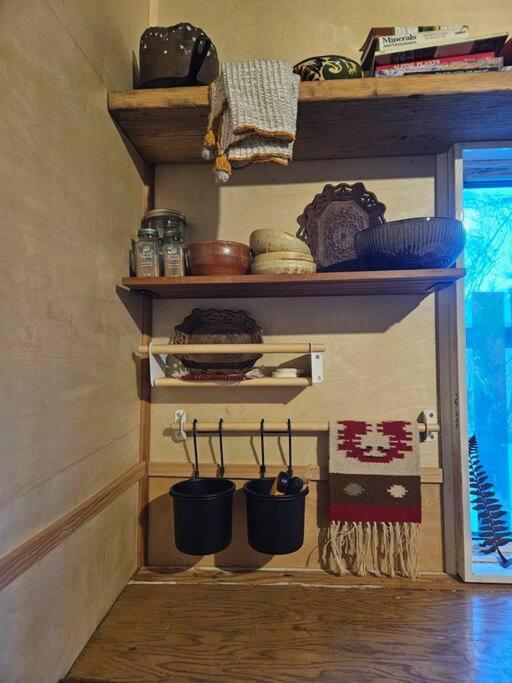 Blue Dog Accommodations Eastend エクステリア 写真